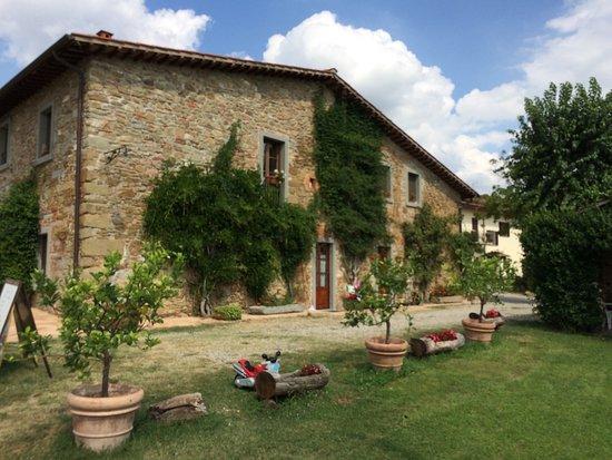 Agriturismo Relais Poggio Primo Borro Zewnętrze zdjęcie